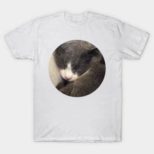 Sleeping Cat / Pictures of My Life T-Shirt